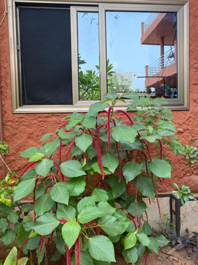 Residences Ouadada 波多诺伏 外观 照片